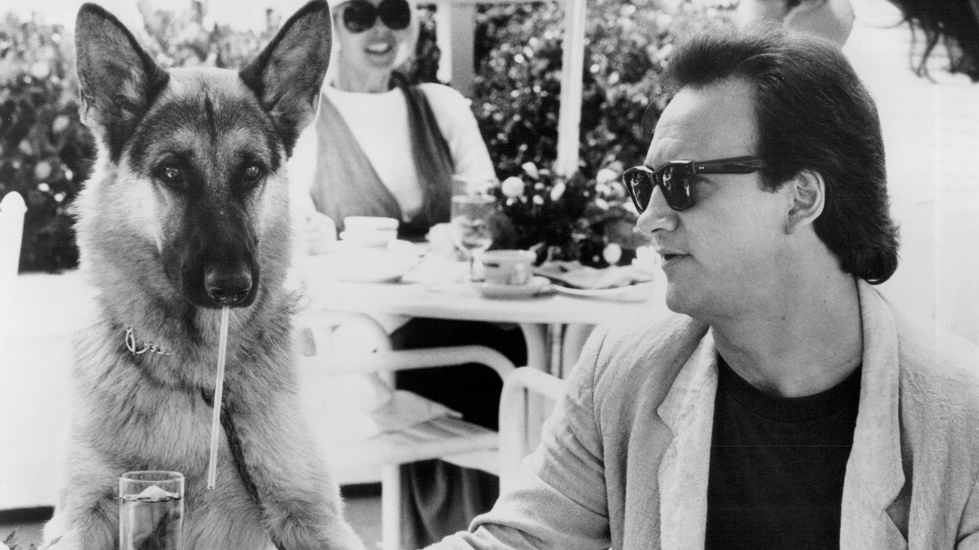 Superagente K-9
