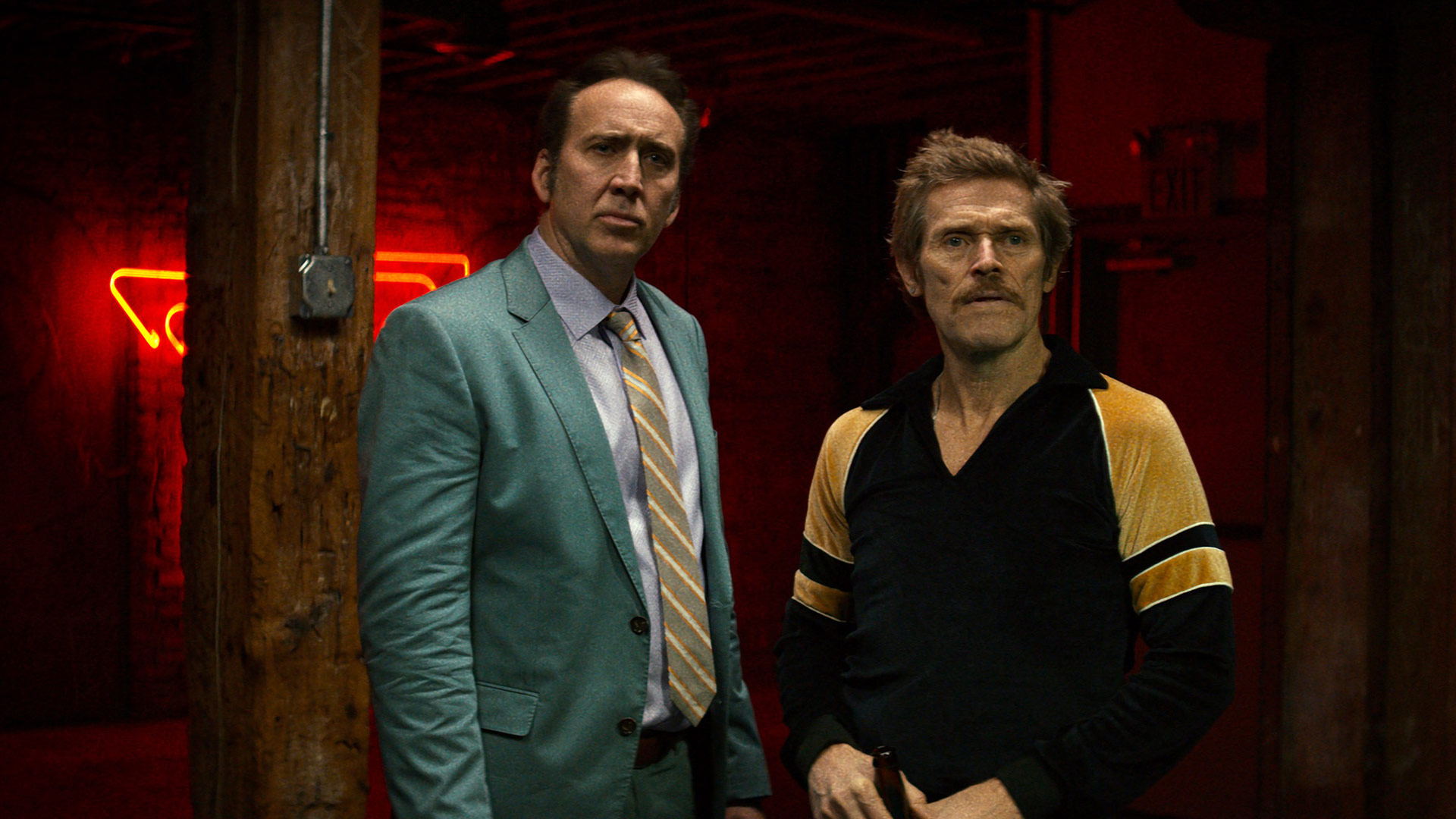 Como perros salvajes