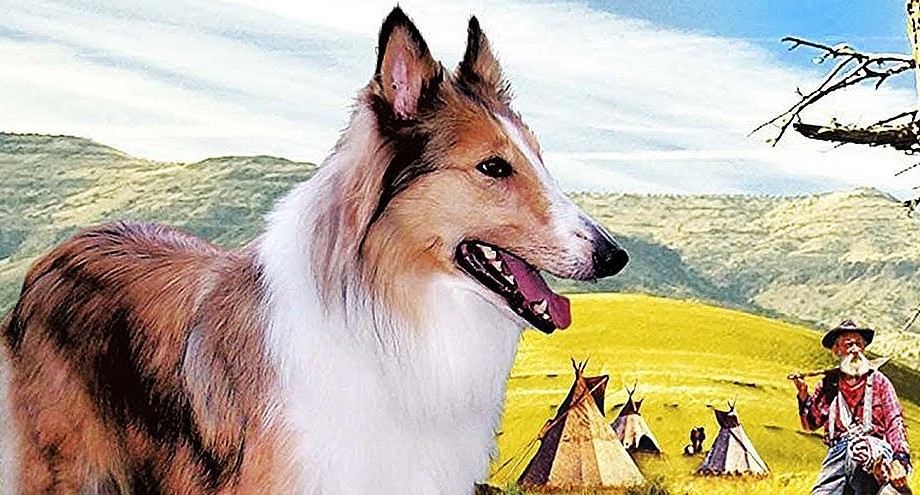 Lassie: Las colinas pintadas
